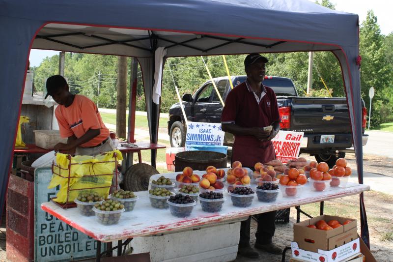 You can buy our grapes from Tim "the Peanut Man" in Chattahoochee